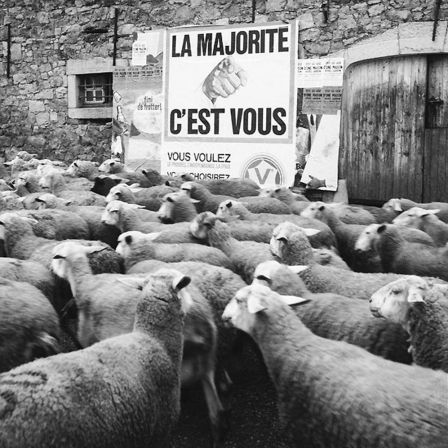 La majorité c'est vous